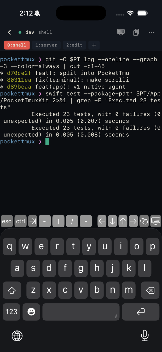 The iPhone terminal with the accessory keyboard row: esc, ctrl, tab, tilde, pipe, slash, dash and arrow keys above the software keyboard.